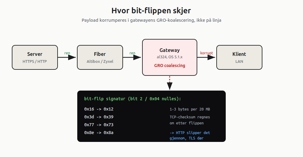 Diagram: bit-flip skjer i gatewayens GRO-koalescering