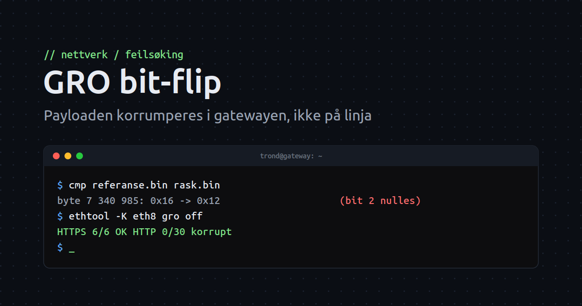Bit-flip i store nedlastinger: en GRO-bug i gatewayen